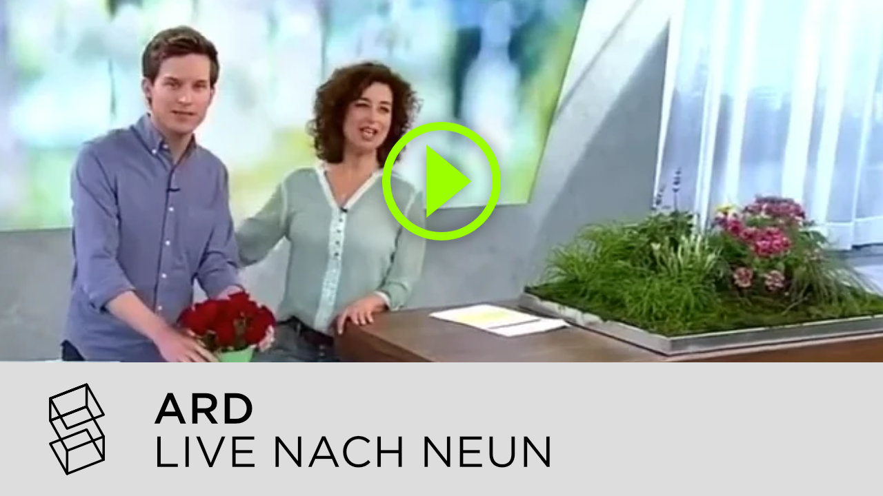 ARD - Live nach Neun